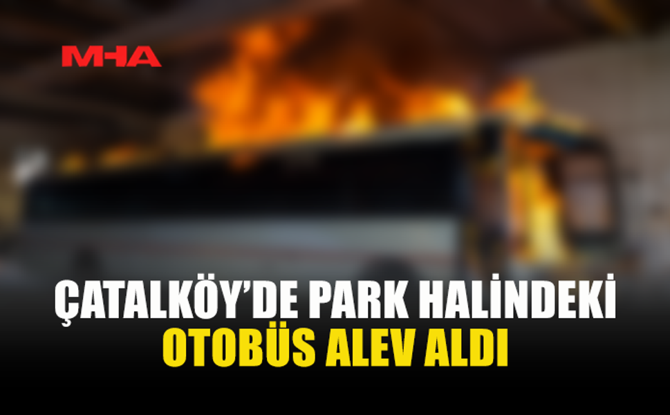 ÇATALKÖY'DE PARK HALİNDEKİ OTOBÜS YANDI