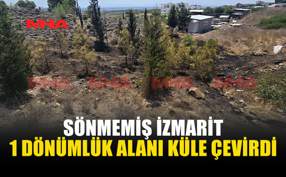 KUZEY ÇEVRE YOLU’NDA SİGARA İZMARİTİ ŞÜPHESİ: 1 DÖNÜMLÜK ALAN KÜLE DÖNDÜ