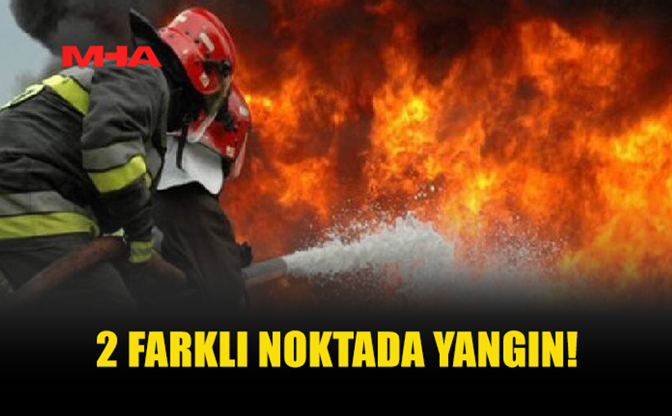 İKİ AYRI NOKTADA ÇIKAN YANGINLARDA AĞAÇLAR ZARAR GÖRDÜ