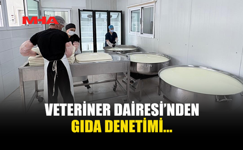 VETERİNER DAİRESİ GIDA DENETİMİ GERÇEKLEŞTİRDİ