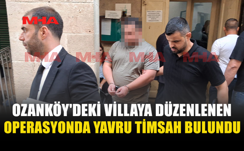 OZANKÖY'DEKİ VİLLADAN YAVRU TİMSAH VE MERMİ ÇIKTI