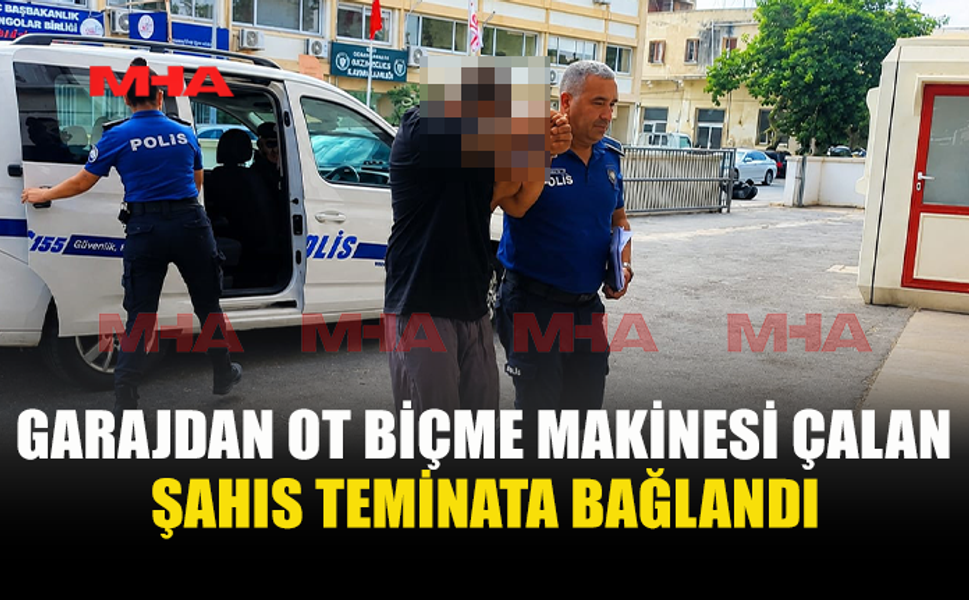 OT BİÇME MAKİNESİ HIRSIZLIĞI ZANLISI TEMİNATA BAĞLANDI