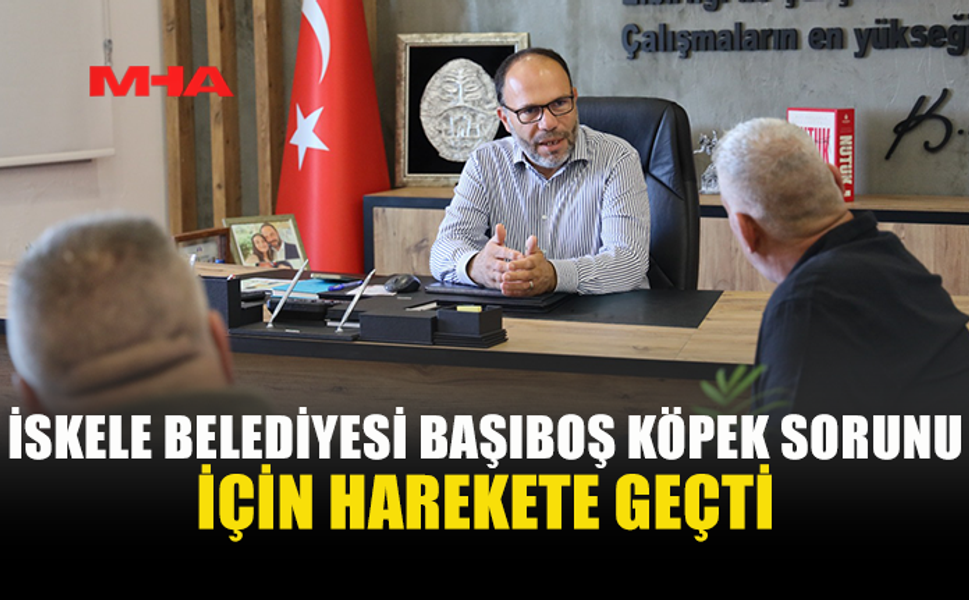 BAŞIBOŞ KÖPEK SORUNU İÇİN İSKELE BELEDİYESİ İLE HAYVAN ÜRETİCİLERİ VE YETİŞTİRİCİLERİ BİRLİĞİ'NDEN ORTAK HAREKET KARARI