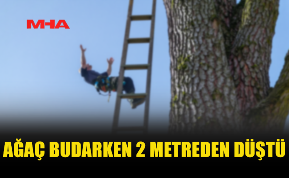 MERDİVENDEN DÜŞEN BAHÇIVAN HASTANELİK OLDU
