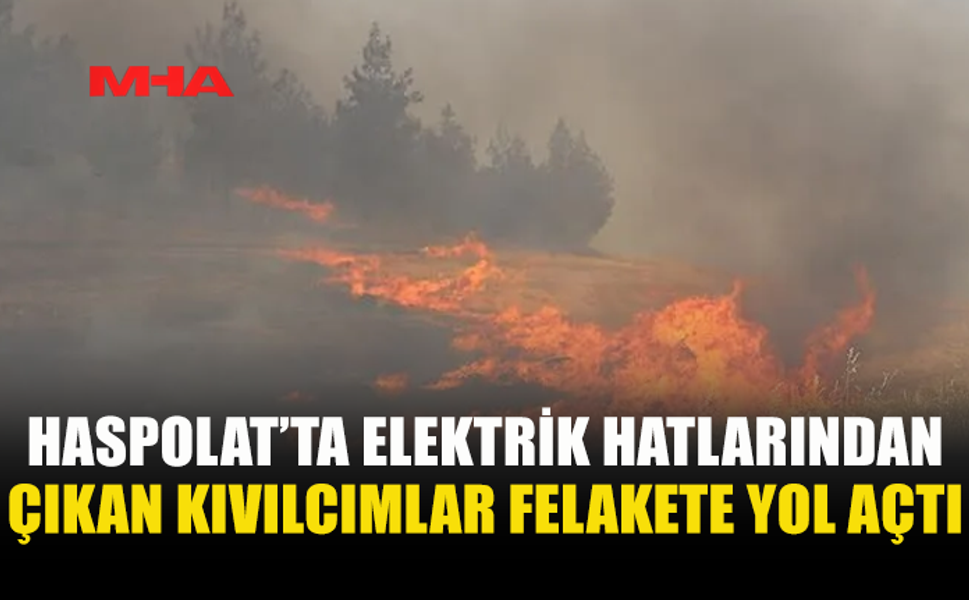 HASPOLAT'TA ELEKTRİK TELLERİNDEN ÇIKAN KIVILCIM YANGINA ÇIKARDI