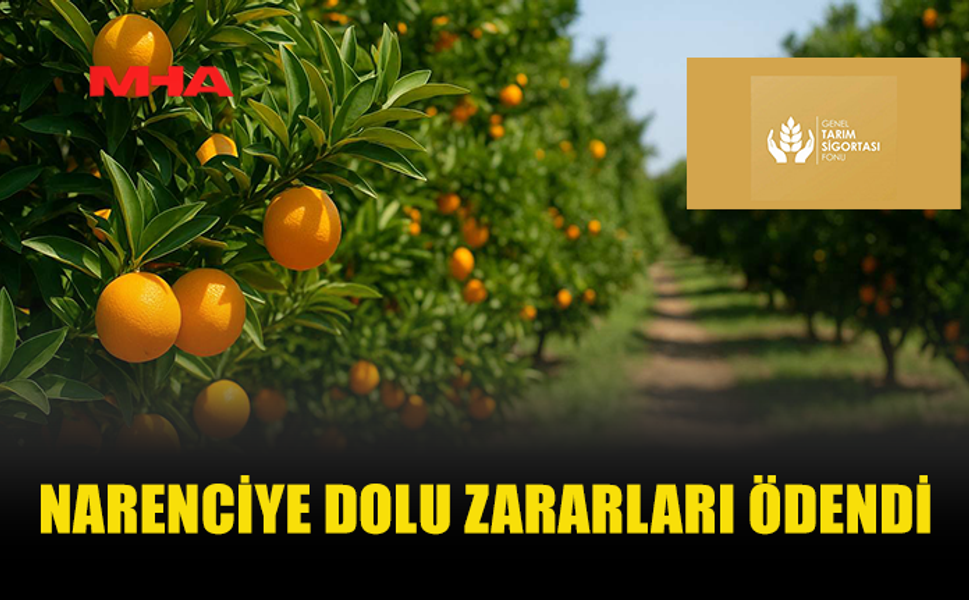NARENCİYE ÜRETİCİSİNE HASAR TAZMİNATI ÖDENDİ