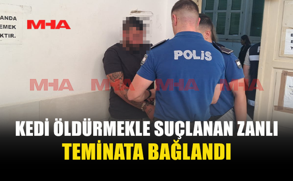 HAVA TÜFEĞİYLE VURULAN KEDİ ÖLDÜ, ZANLI SERBEST KALDI