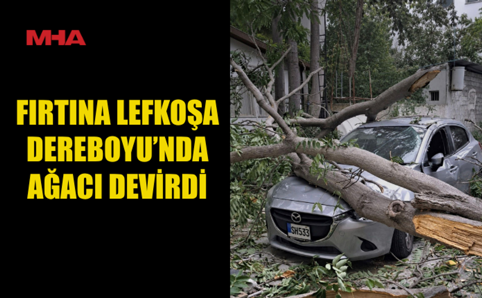 LEFKOŞA’DA FIRTINA AĞACI DEVRİLDİ, ARAÇ ZARAR GÖRDÜ
