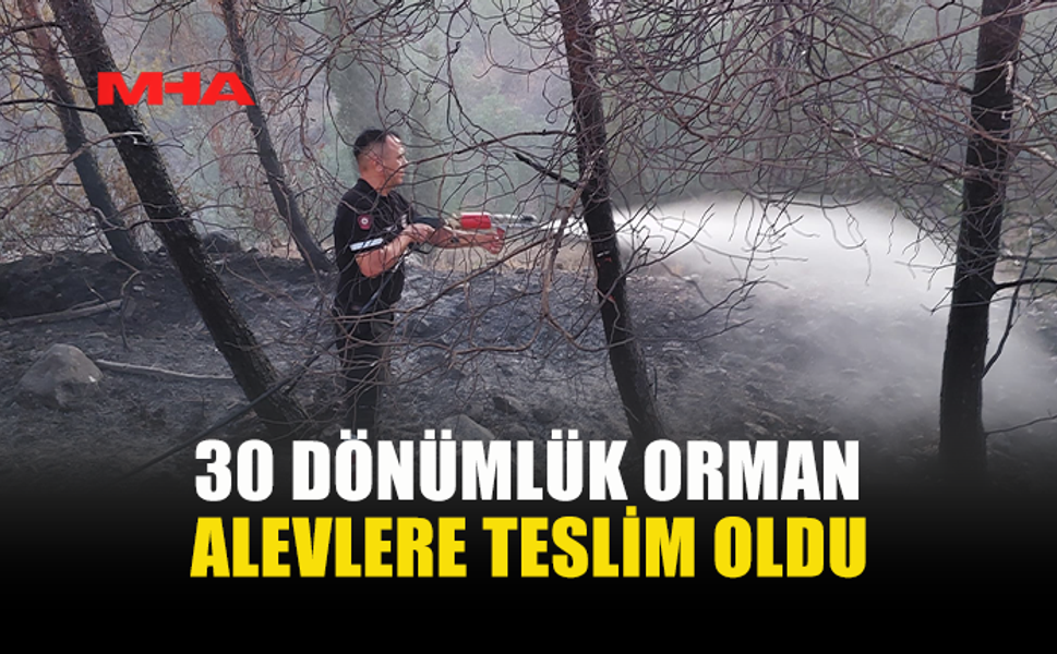 SERDARLI-ERGENEKON YOLUNDA ORMAN YANGINI