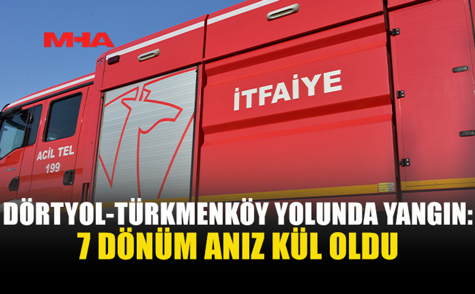 7 DÖNÜM ANIZ YANGINA TESLİM OLDU