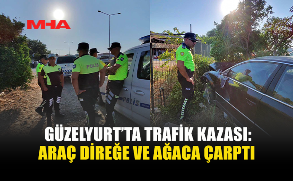 DİREKSİYON HAKİMİYETİNİ KAYBETTİ, DİREĞE VE AĞACA ÇARPTI
