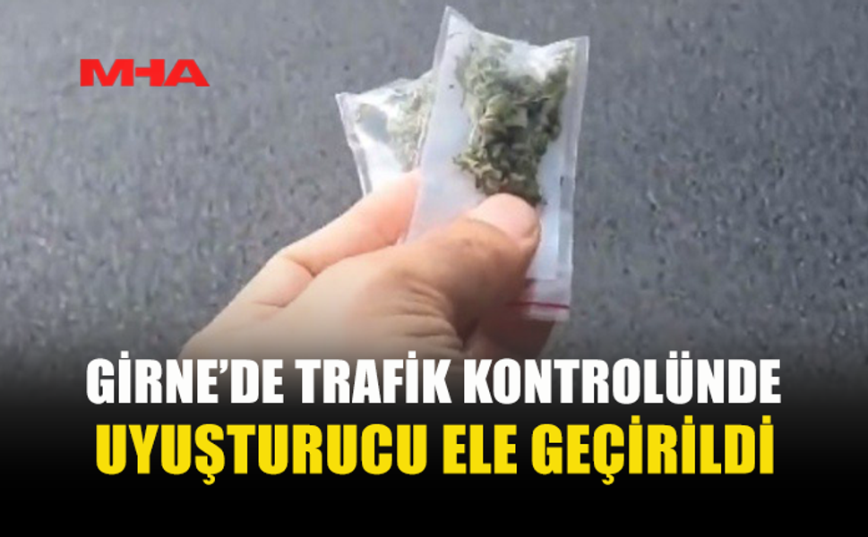 TRAFİK DENETİMİNDE DURDURULDU, ARAÇTAN HİNTKENEVİRİ ÇIKTI