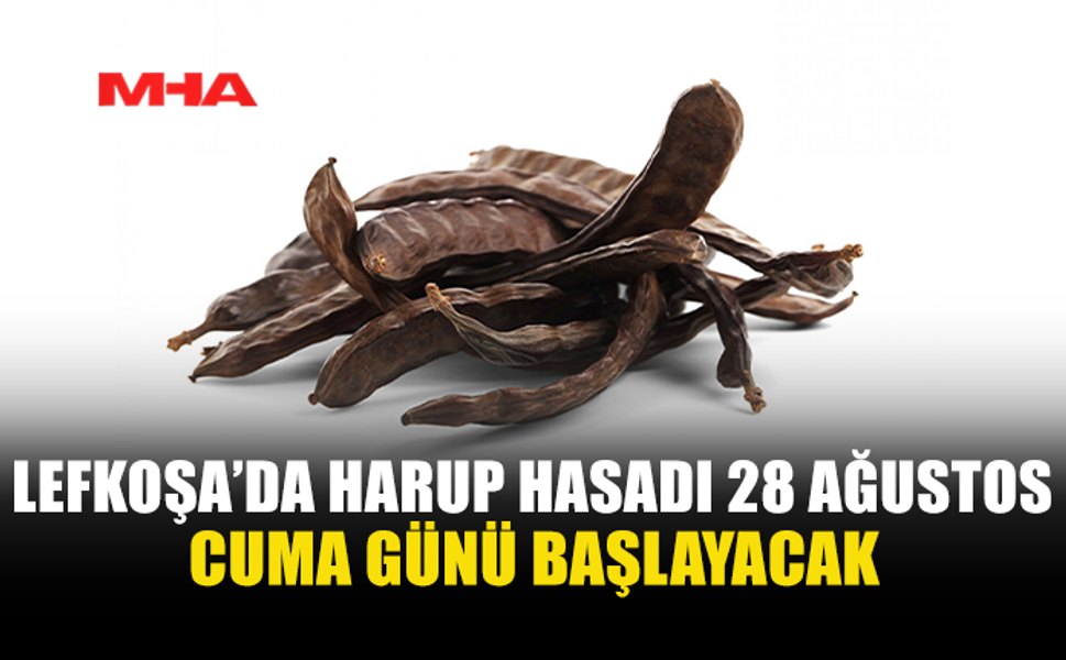 LEFKOŞA’DA HARUP HASADI 28 AĞUSTOS’TA BAŞLIYOR