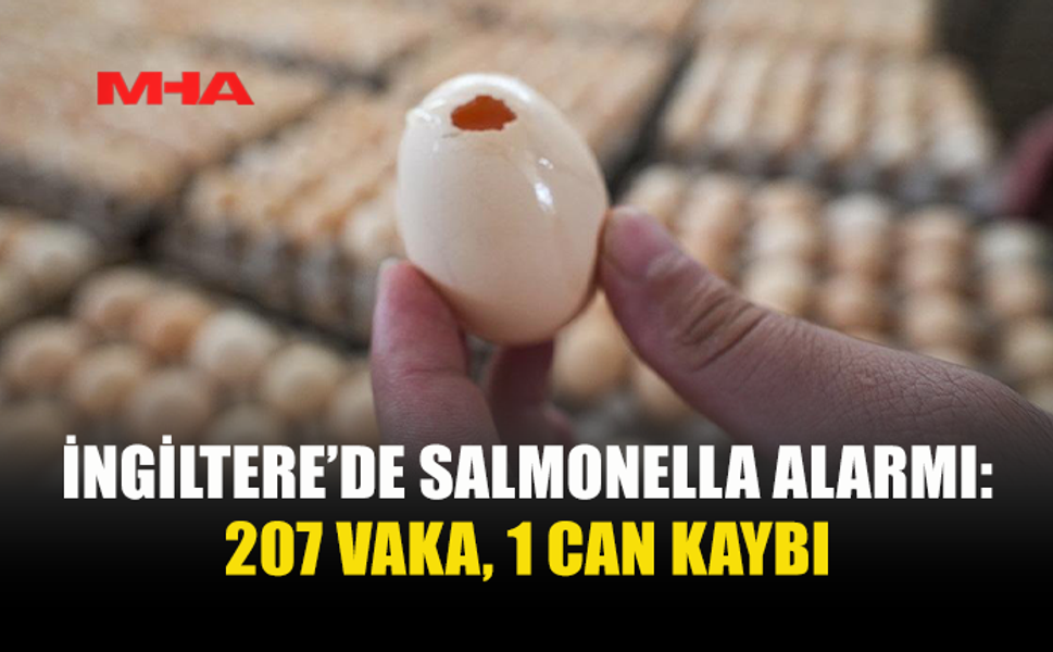 İNGİLTERE'DE SALMONELLA SALGININDA 1 KİŞİ ÖLDÜ, 207 VAKA TESPİT EDİLDİ