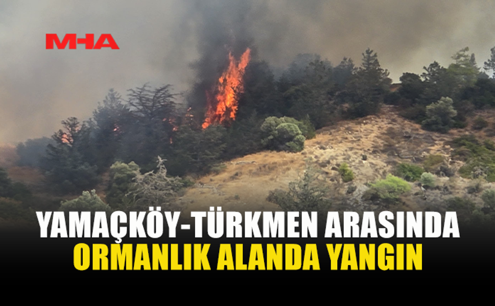 YAMAÇKÖY-TİRMEN BÖLGESİNDE YANGIN ÇIKTI