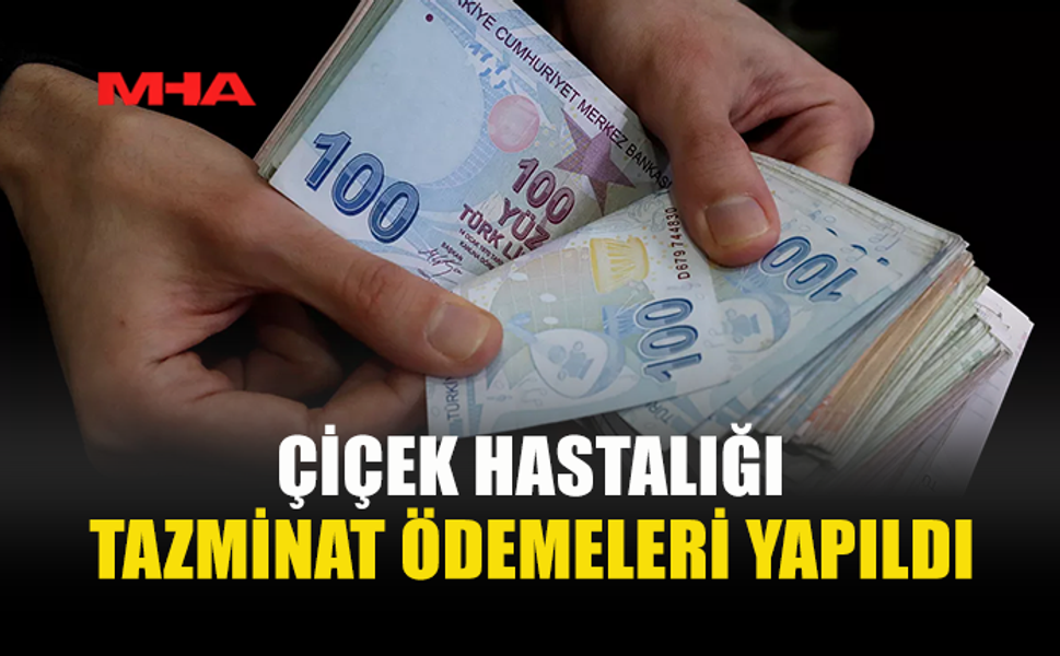 ÇİÇEK HASTALIĞINDAN ZARAR GÖREN ÜRETİCİLERE TAZMİNAT ÖDEMESİ YAPILDI