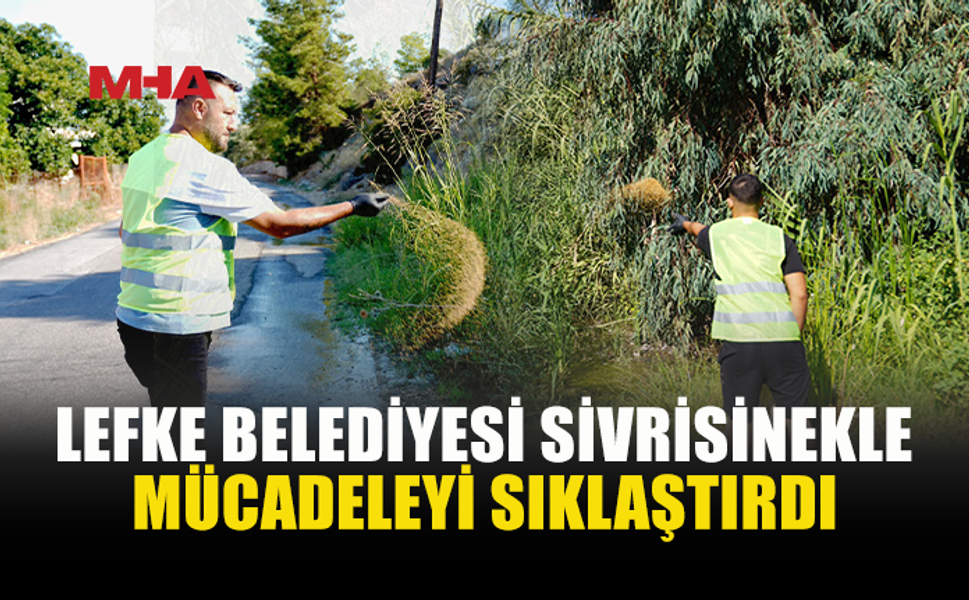 LEFKE’DE SİVRİSİNEKLE MÜCADELE ÇALIŞMALARI SIKLAŞTIRILDI