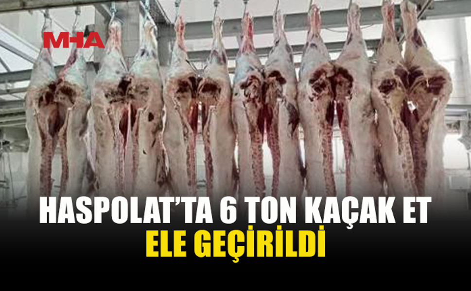 KARKAS OPERASYONU: 6 TON ET ELE GEÇİRİLDİ