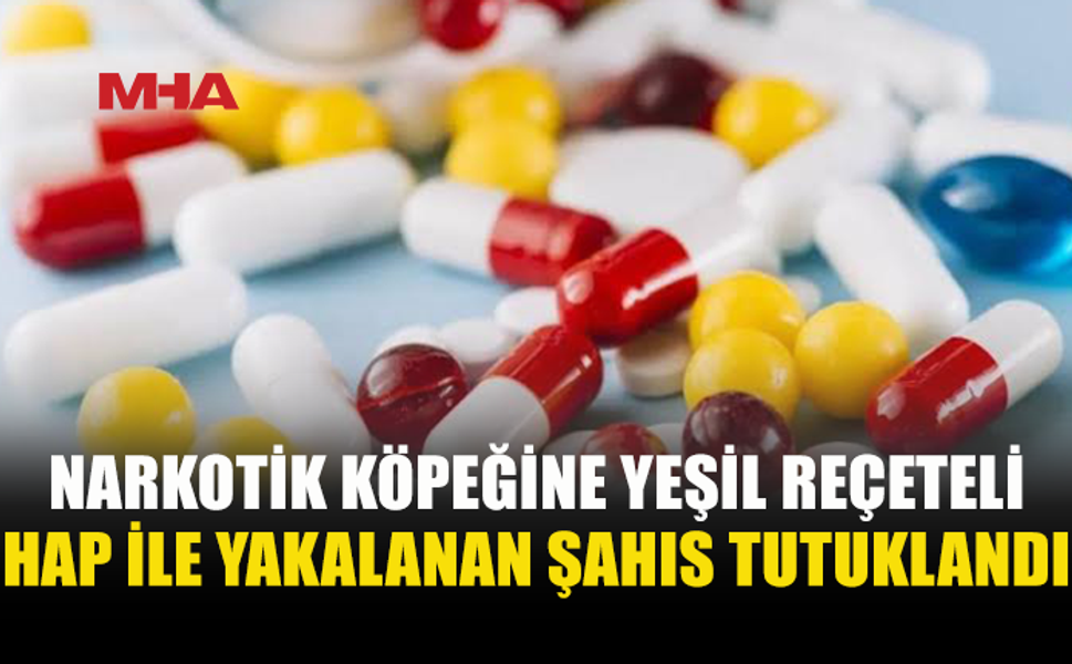 ERCAN’DA NARKOTİK KÖPEĞİ LOKUM UY*ŞTURUCU TESPİT ETTİ