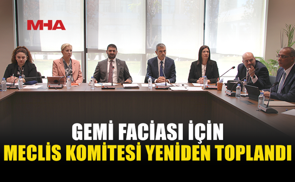 GEMİ FACİASI KOMİTESİ TANIKLARI DİNLEDİ
