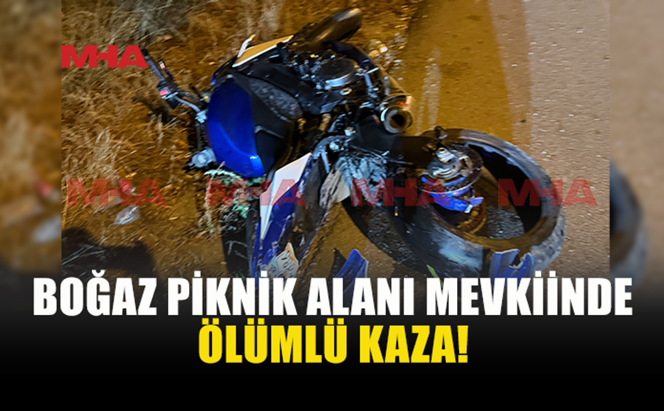 BOĞAZ PİKNİK ALANI MEVKİİNDE ÖLÜMLÜ TRAFİK KAZASI!