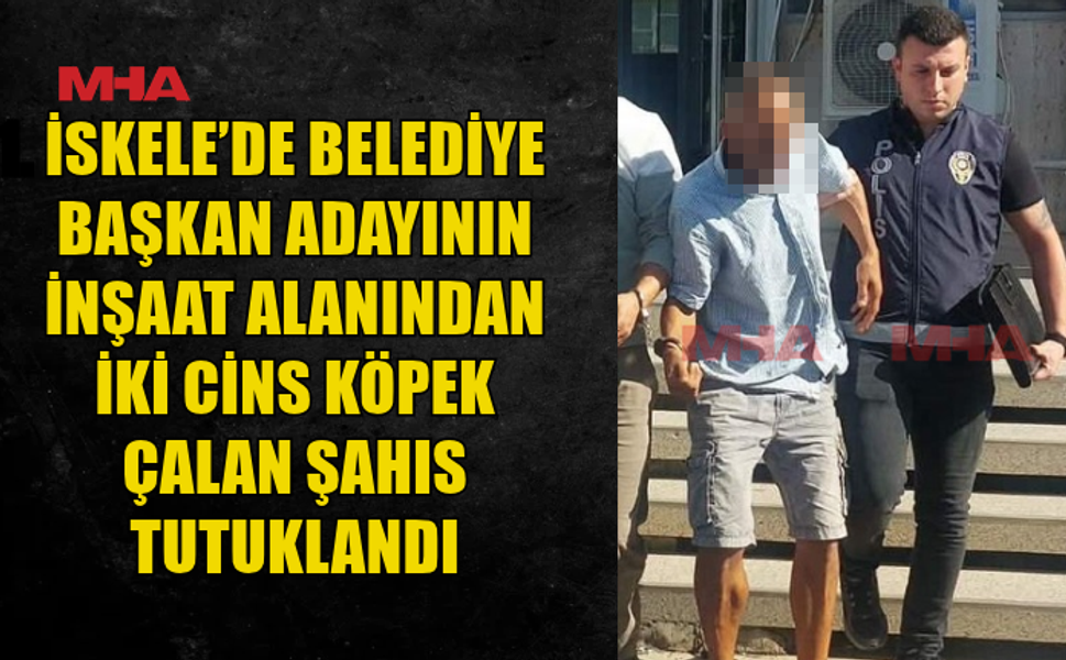 SERMET NERELİ’NİN İNŞAAT ALANINDAN İKİ CİNS KÖPEK ÇALINDI