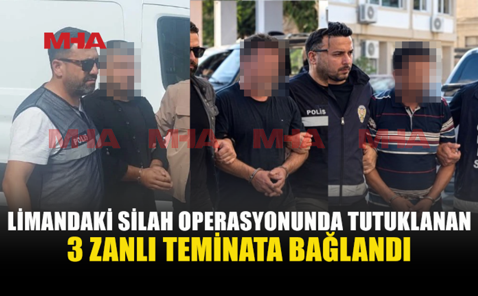 TIR DORSESİNDEN 10 TABANCA ÇIKTI, 3 ZANLI TEMİNATLA SERBEST KALDI