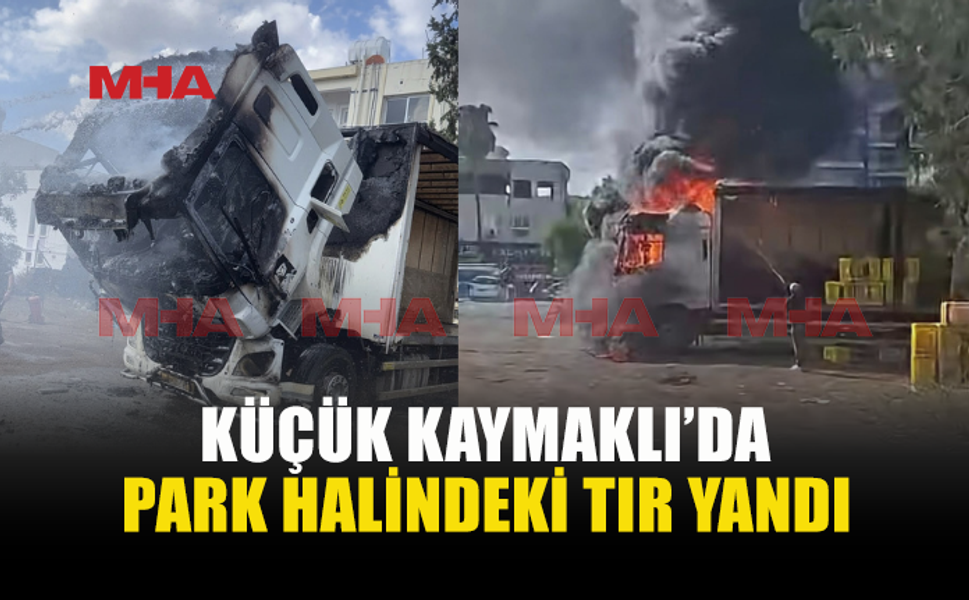 PARK HALİNDEKİ TIRDA YANGIN ÇIKTI