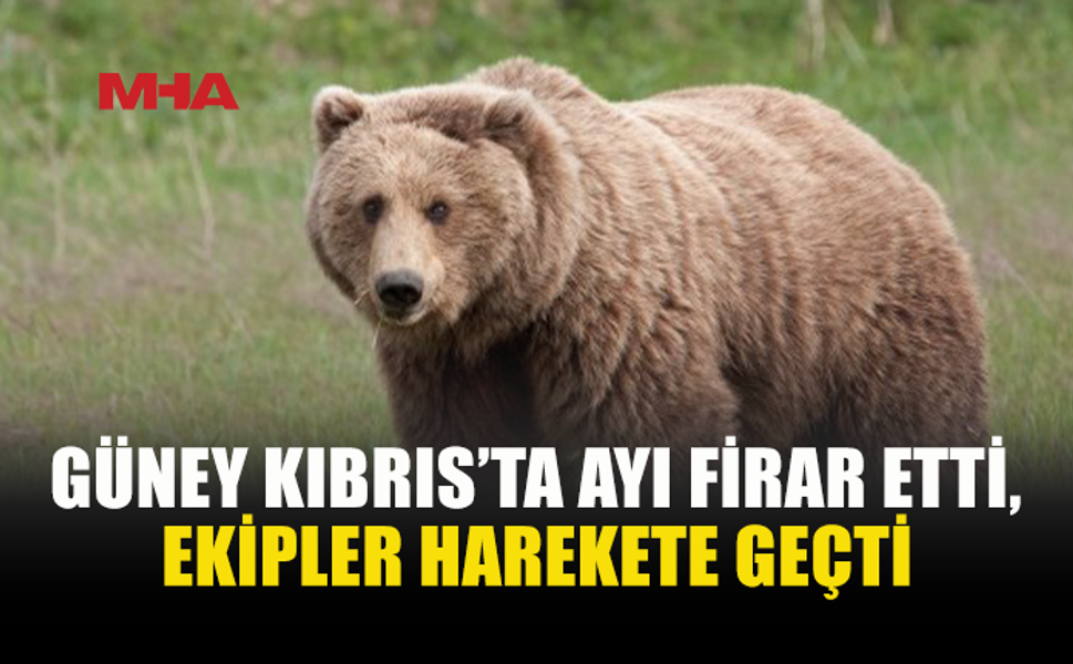 MELİOS HAYVANAT BAHÇESİ’NDEN KAÇAN AYI BULUNDU