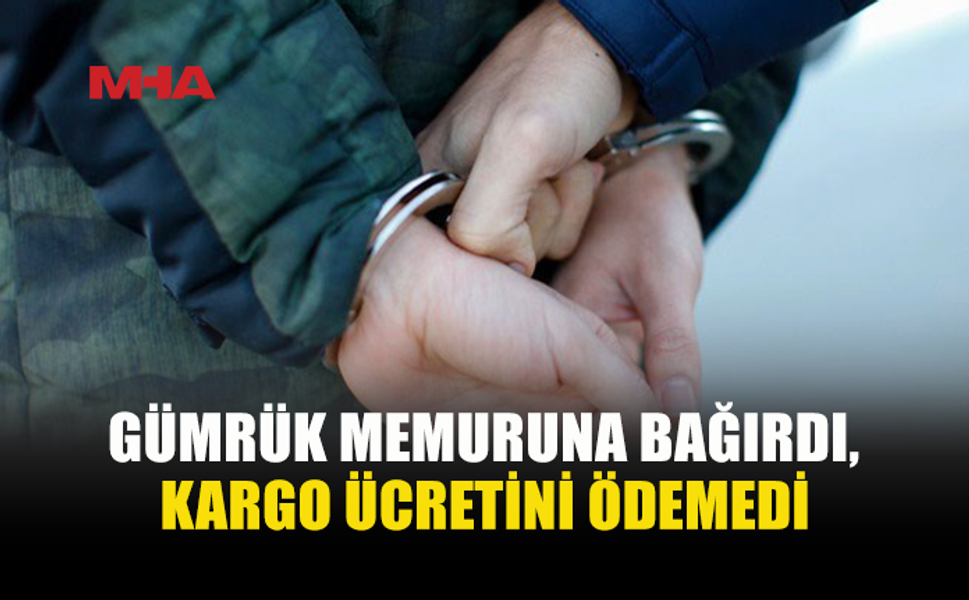GÜMRÜK MEMURUNA BAĞIRDI, KİTAPLARI İZİNSİZ ALDI