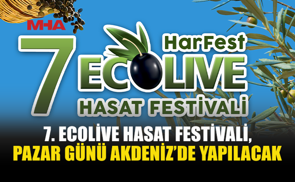 ECOLIVE HASAT FESTİVALİ PAZAR GÜNÜ YAPILACAK
