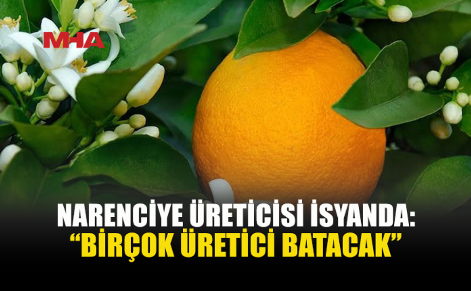 NARENCİYE ÜRETİCİSİ BEKLİYOR: ÜRÜN PARALARI HÂLÂ ÖDENMEDİ