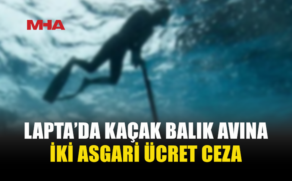 ŞAMANDIRASIZ ZIPKINLA AVLANDI, CEZADAN KAÇAMADI