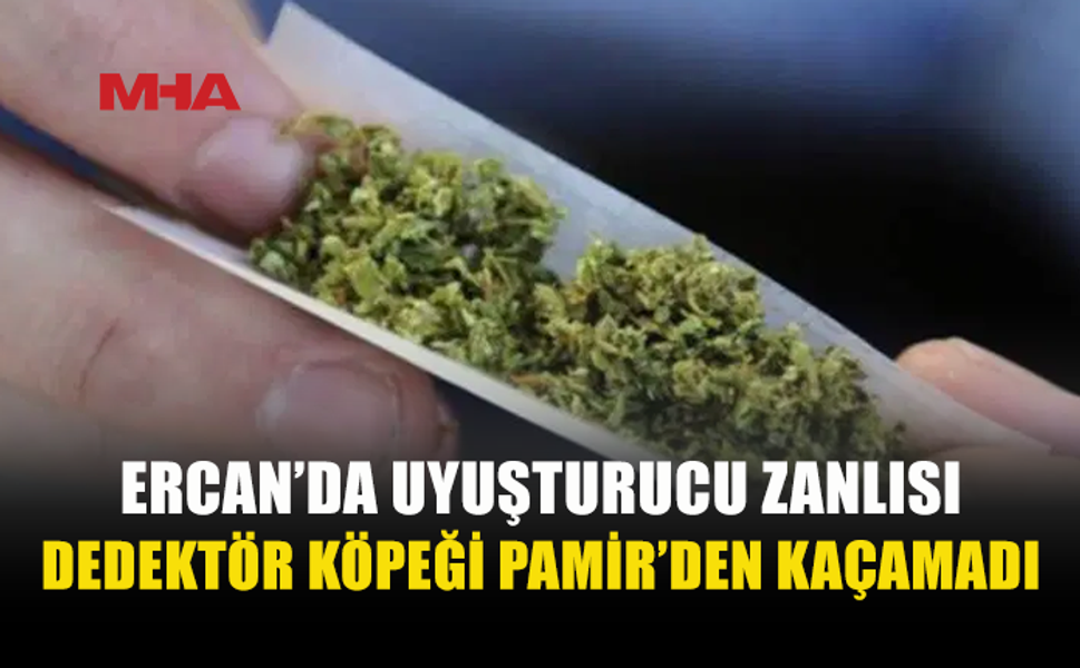 ERCAN'DA DEDEKTÖR KÖPEĞİ PAMİR’İN DİKKATİ 2 GRAM UY*ŞTURUCUYU ORTAYA ÇIKARDI