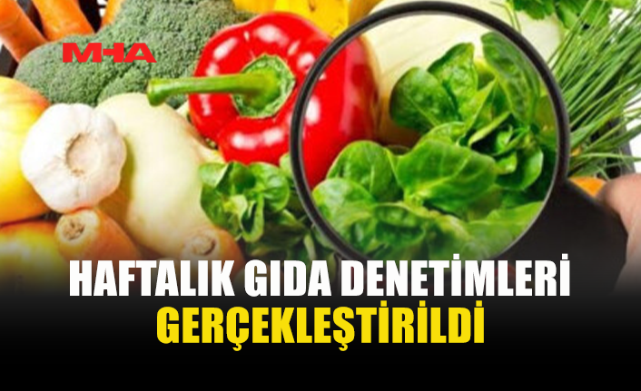 HAFTALIK GIDA DENETİM SONUÇLARI (25 EYLÜL 2026)