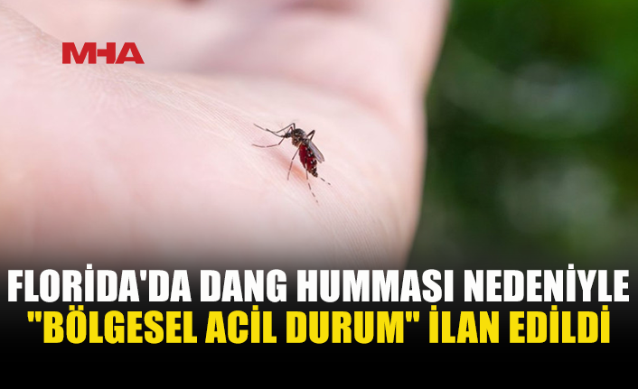 FLORİDA’DA DANG HUMMASI ALARMI